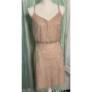 Adrianna Pappell Blush Pink Dress Sequin Detail, NWT, Size 6, Homecoming